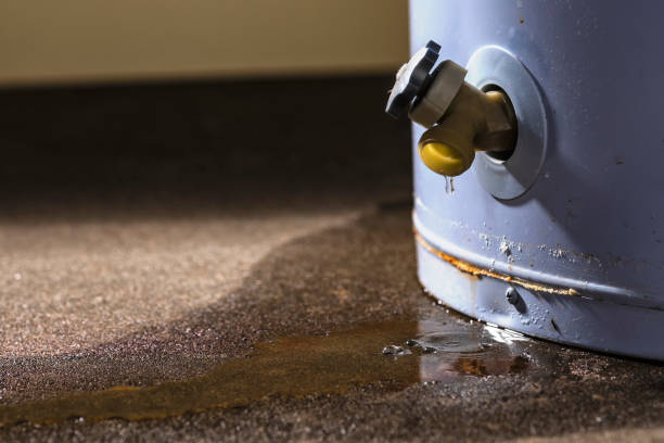 Best Water damage cleanup near me  in Edwardsville, KS