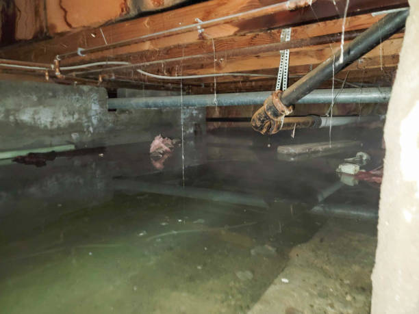 Best Flooded house restoration  in Edwardsville, KS