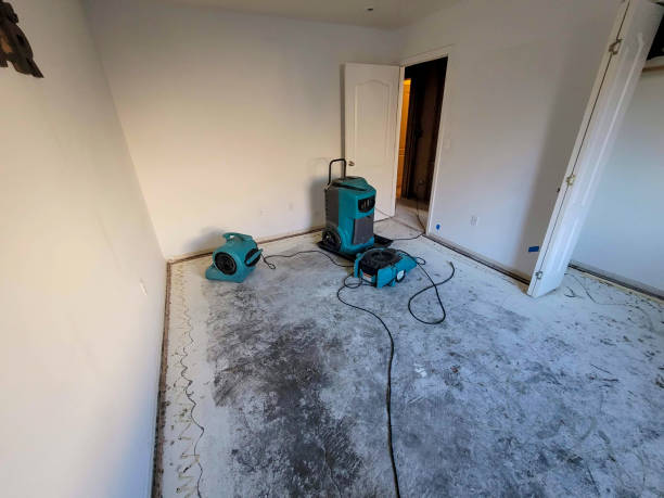 Best Water damage restoration experts  in Edwardsville, KS