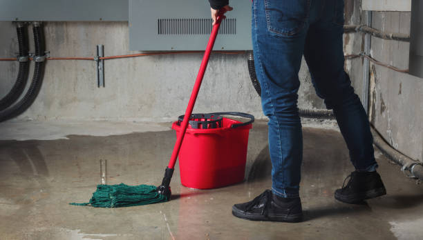Best Basement water damage restoration  in Edwardsville, KS