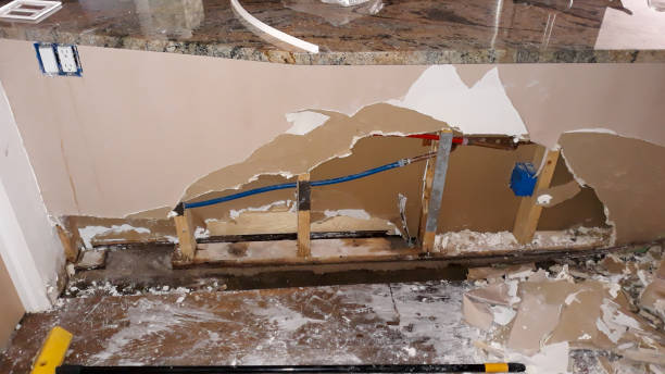 Best Basement water damage restoration  in Edwardsville, KS