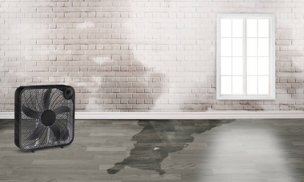 Water damage restoration insurance claims in Edwardsville, KS