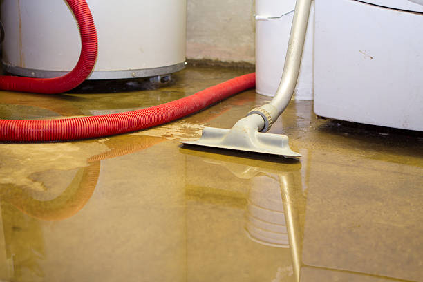 Water damage restoration experts in Edwardsville, KS