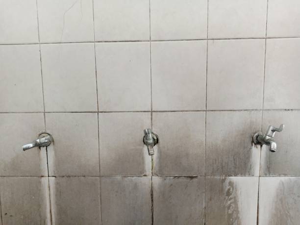 Best 24/7 water damage repair  in Edwardsville, KS