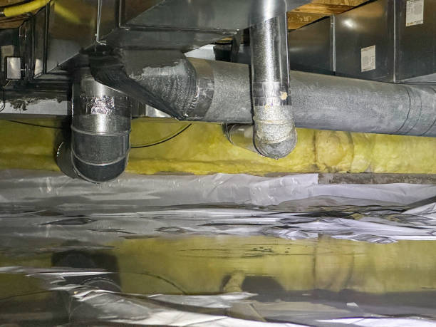 Best Local water damage restoration  in Edwardsville, KS