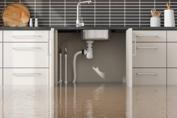 Best Commercial water damage restoration  in Edwardsville, KS