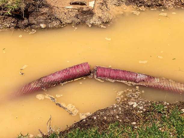 Best Water damage restoration cost  in Edwardsville, KS