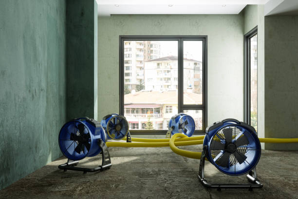 Best Professional water damage repair  in Edwardsville, KS