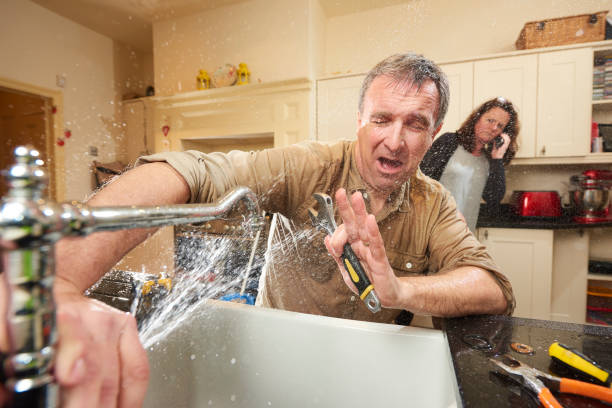 Best Water damage restoration services  in Edwardsville, KS